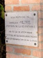 Caussade, plaques rue du docteur Olive - Robert.jpg